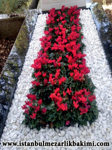 istanbul Mezarlık Bakımı Mezar Bakım Fiyatları