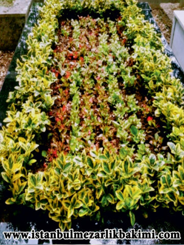 istanbul Mezar Bakımı ve Çiçeklendirme istanbul Mezarlık Bakımı çiçeklendirme