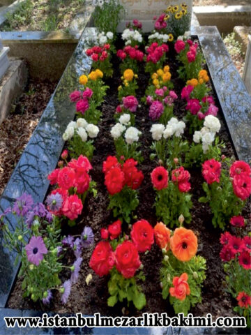 istanbul Mezarlık Bakımı istanbul Mezar Bakımı