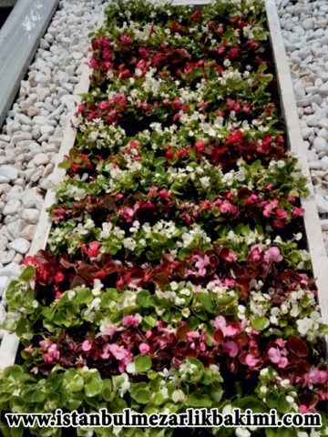 istanbul Mezar Bakımı istanbul Mezarlık Bakımı