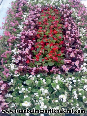 istanbul Mezar Bakımı istanbul Mezarlık Bakımı