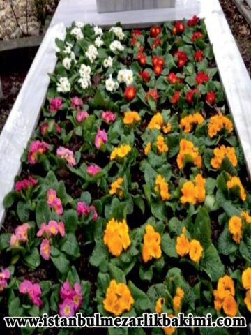 istanbul Mezar Bakımı istanbul Mezarlık Bakımı