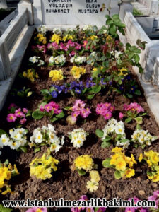 istanbul mezar bakımı istanbul mezar bakımı