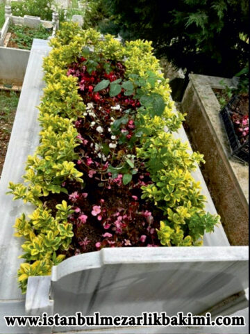 istanbul Mezar Bakımı istanbul Mezarlık Bakımı